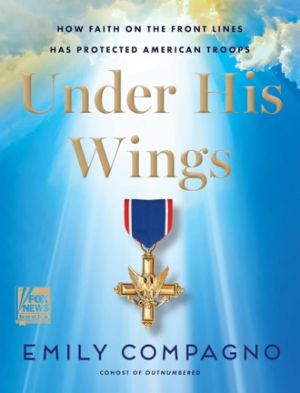 Book cover of Under His wings by Emily Compagno