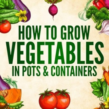 How to Grow Vegetables in Pots and Containers by Luke Potter